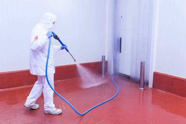 Best Rust Removal  in Rockwall, TX